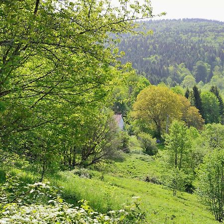 Hebergement Francois Mathieu Saint-Maurice-sur-Moselle Luaran gambar
