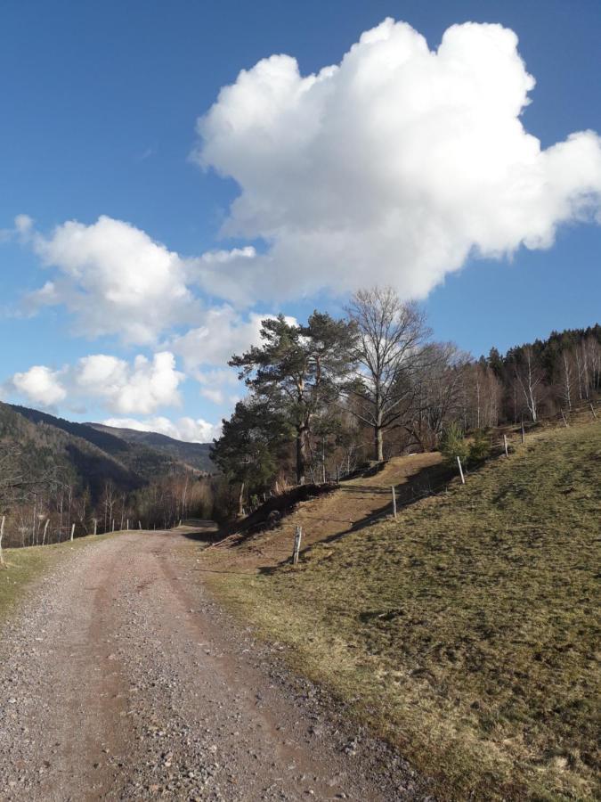Hebergement Francois Mathieu Saint-Maurice-sur-Moselle Luaran gambar