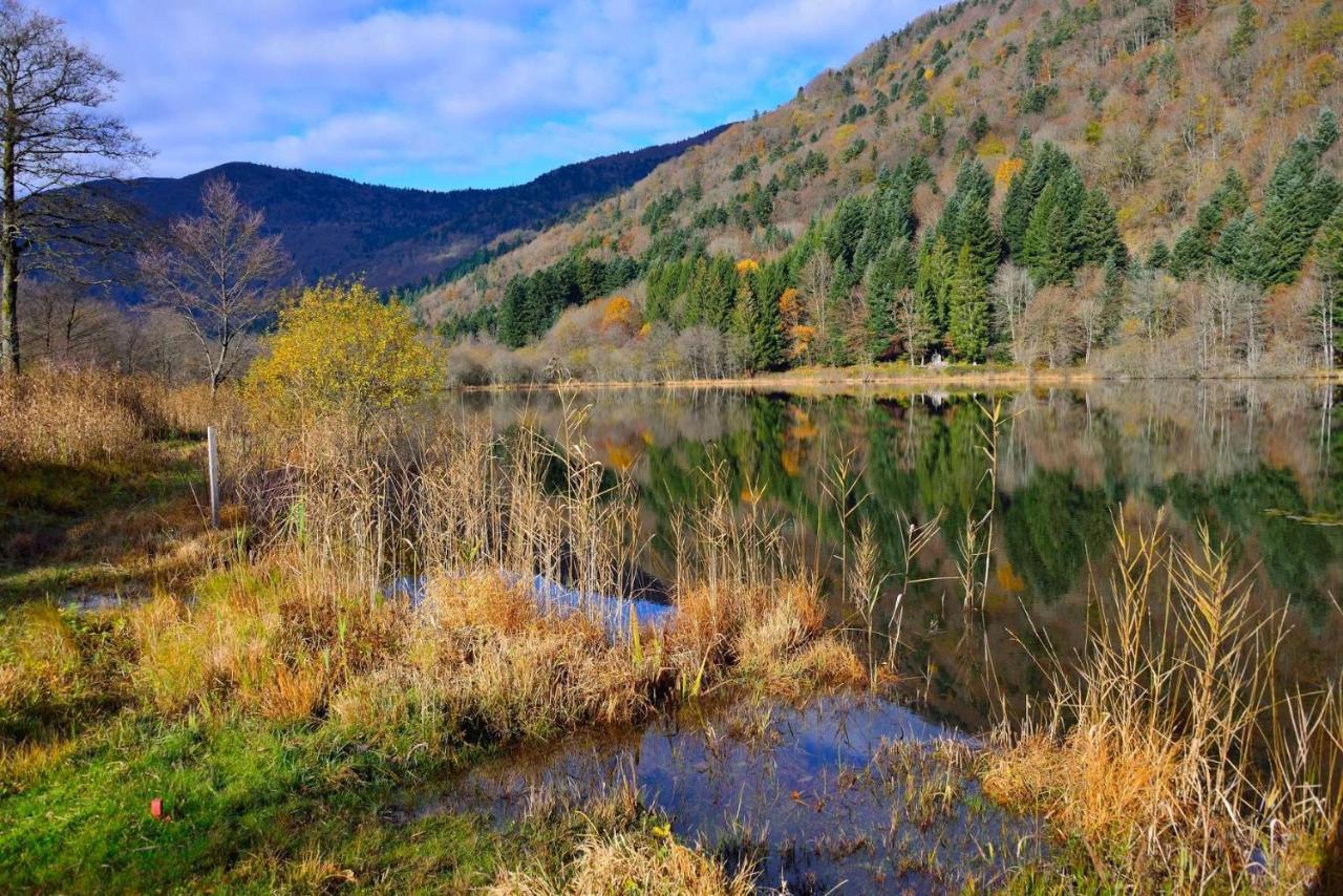 Hebergement Francois Mathieu Saint-Maurice-sur-Moselle Luaran gambar