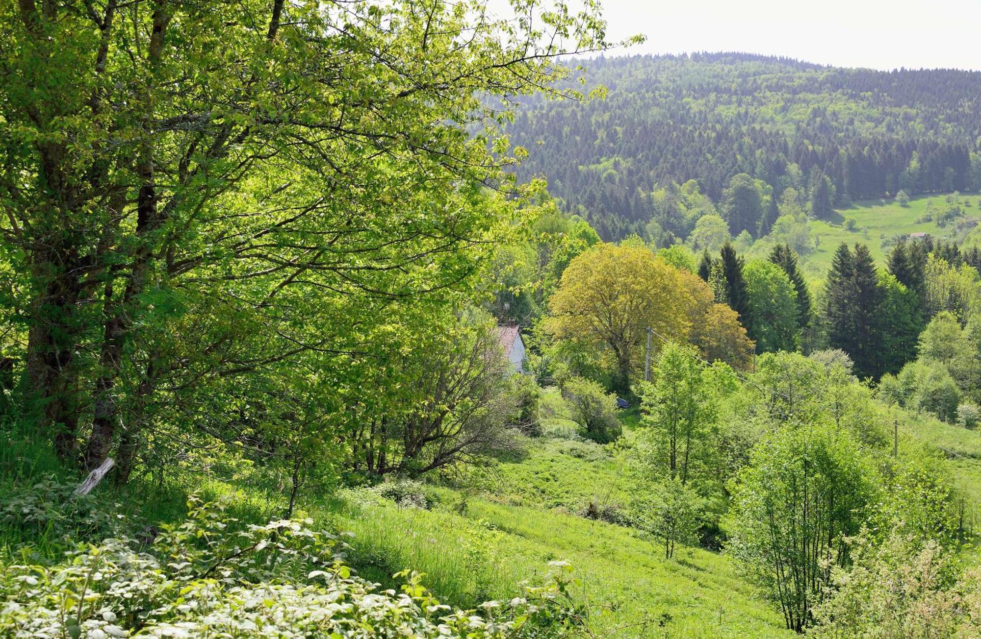 Hebergement Francois Mathieu Saint-Maurice-sur-Moselle Luaran gambar